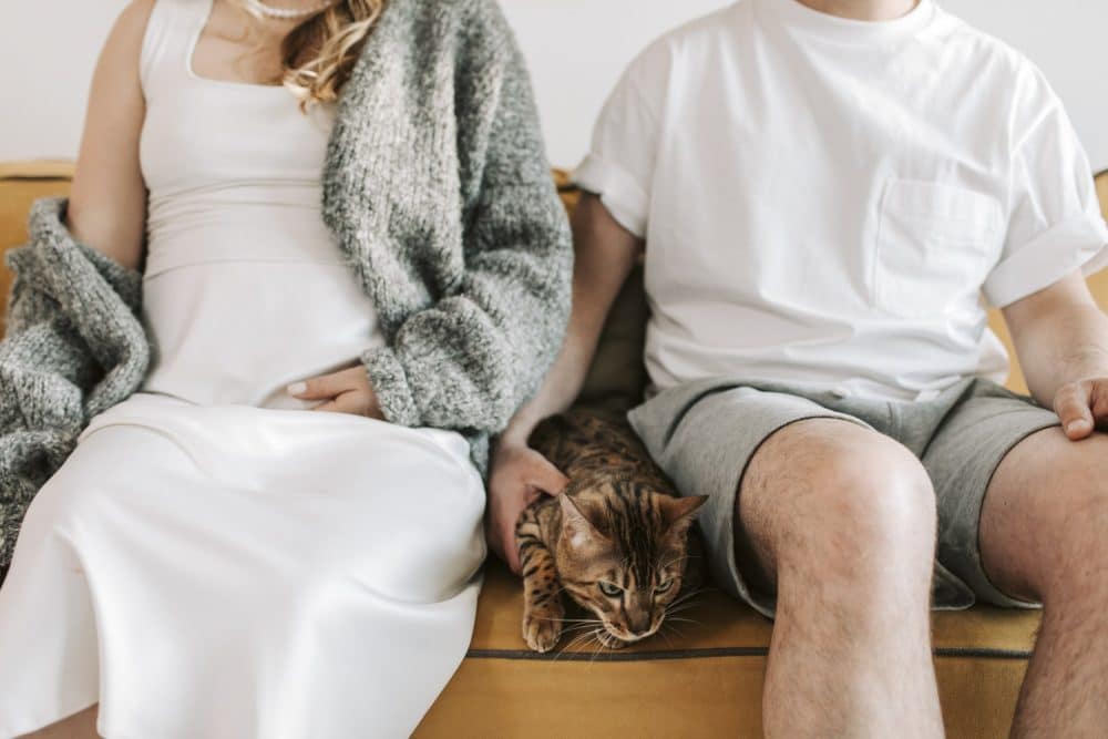 pexels-vlada-karpovich-8359678