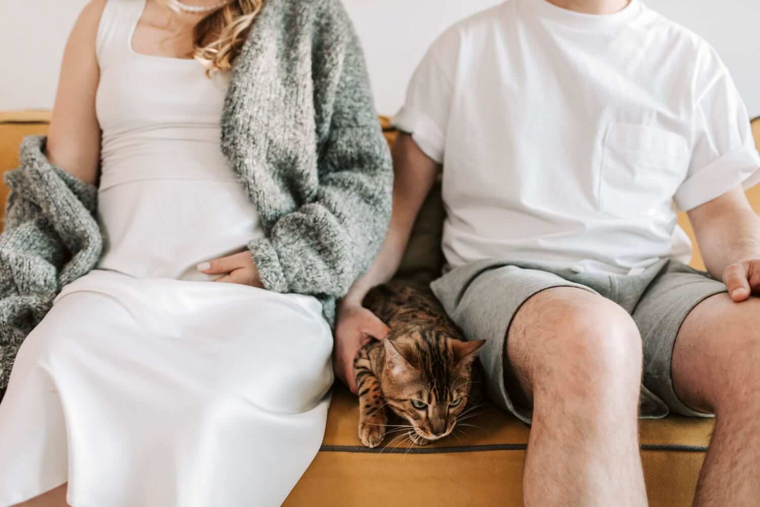 pexels-vlada-karpovich-8359678