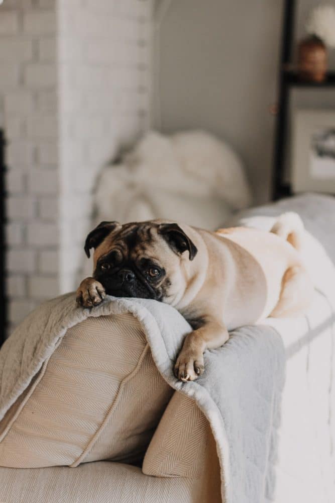 sarandy-westfall-vycdfmskuaa-unsplash