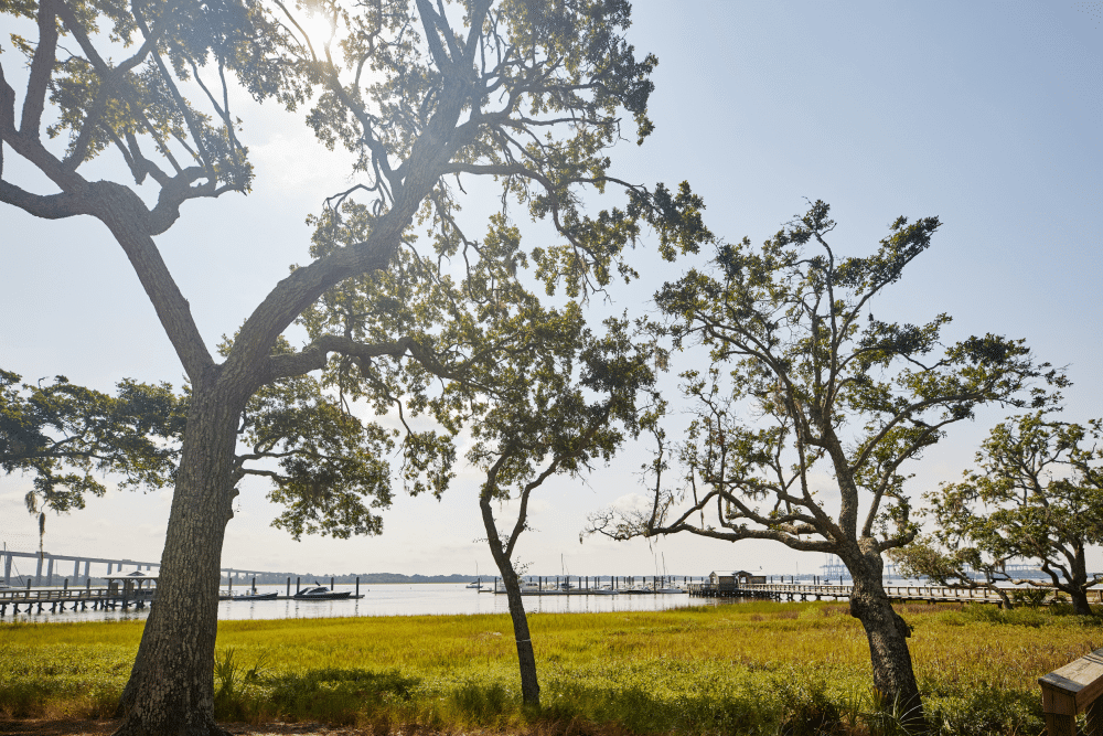 Goddard_Pointe_Hope_lifestyle_087