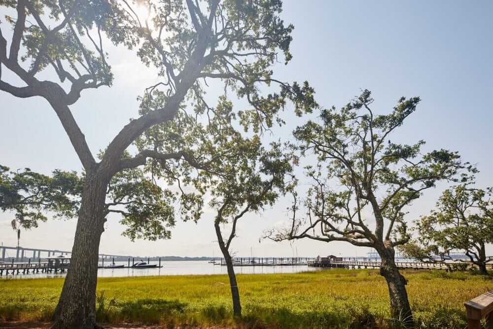 Goddard_Pointe_Hope_lifestyle_087_web