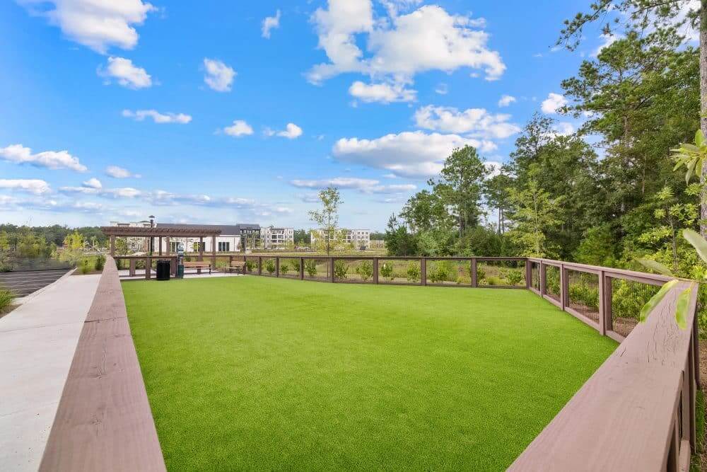 The outdoor pet park featuring trees and fence.